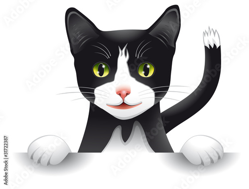 Vektor: Hello-Cat Hello-Cat