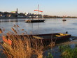 Bords de Loire
