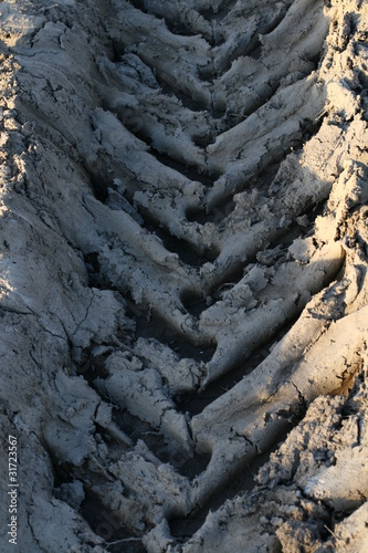 Photo: track in dirt track in dirt