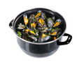 casserole de moules marinieres sur fond blanc casserole de moules marinieres sur fond blanc