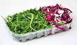 Rucola e radicchio in vaschetta