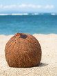 Brown coconut