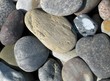 Runde Steine - Kiesel