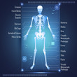 Scanning of Skelton