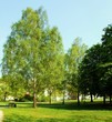 Foto: Stadtpark Stadtpark