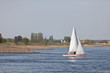 Segelboot auf der Elbe