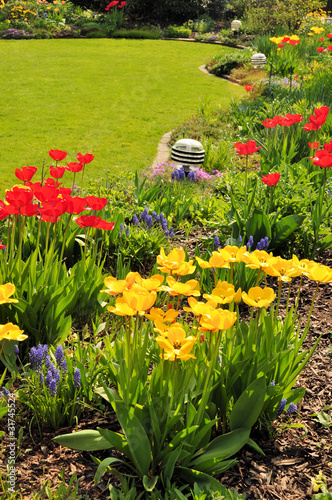 Photo: Garten mit Tulpen Garten mit Tulpen