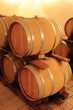 Weinkeller Barrique Holzfässer Rotwein,Elsass,Frankreich