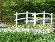 Keukenhof