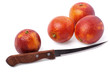 Blood oranges and knife