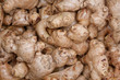 ����: Ginger Root � raypauly #31760592