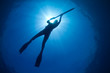 A silhouette of a young woman spearfishing