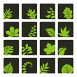 Blätter Icons#