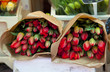 tulips on the market