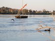 Loire et futreaux
