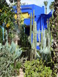 Jardin Majorelle