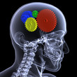 Skeleton X-Ray - Gear Head