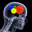 Skeleton X-Ray - Gear Head
