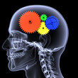 Skeleton X-Ray - Gear Head