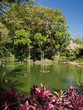 Bassin au jardin botanique, Guadeloupe Bassin au jardin botanique, Guadeloupe