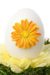 decorated easter egg