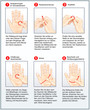 Handakupressur-Massage, Meridiane
