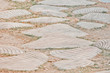 Muschelweg