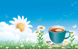 floral landscape with camomiles and cup of tea floral landscape with camomiles and cup of tea
