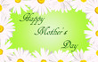 Mother's day white daisies card