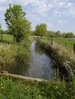 Marais des Gonds Marais des Gonds