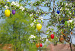 Osterdeko