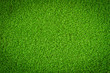 Green Grass Field Green Grass Field