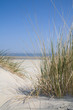 Foto: Dune landscape at the sea Dune landscape at the sea
