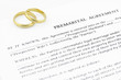 Prenuptial ( premarital ) agreement
