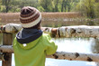 Foto: Kind beobachtet Enten Kind beobachtet Enten