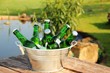 sixpack im zinkeimer VI