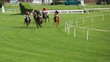 Photographie : course de chevaux