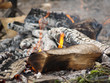 campfire