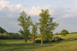 campagne