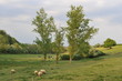campagne