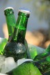 sixpack im zinkeimer IV
