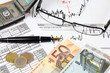Financial planning with Euro money