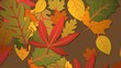 Video: Colorful autumn leaves Colorful autumn leaves