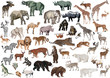 isolated color animals huge collection isolated color animals huge collection