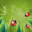 Green leaves design with ladybug Green leaves design with ladybug