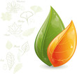Green leaves design Green leaves design