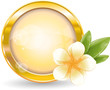 Gold circle frame with white frangipani flower Gold circle frame with white frangipani flower