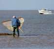 pêche à pied