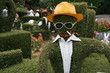 homme de buis