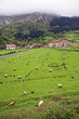Rural landscape